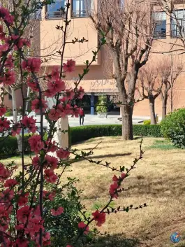 دانشکده علوم ریاضی، محله تیموری، تهران