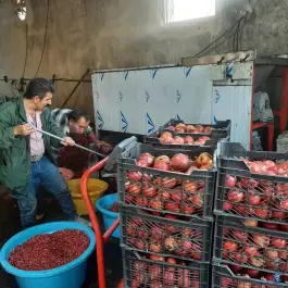 آبگیری و سبزی خردکنی چهارفصل، بلوار حضرت معصومه، قم