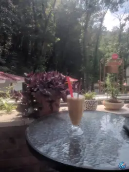 عکس امیر شکلات، ناهارخوران، گرگان 2