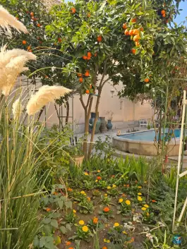 عکس خانه تاریخی بخردی؛ محله شهشهان اصفهان 8