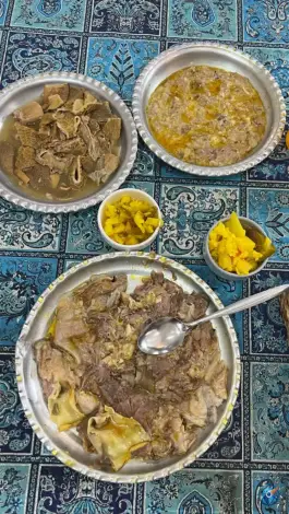 دکتر کله، شهرک امید، شیراز