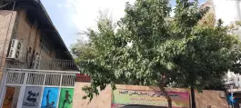 عکس استخر و سونا ثامن الائمه، بزرگمهر جنوبی مشهد 2