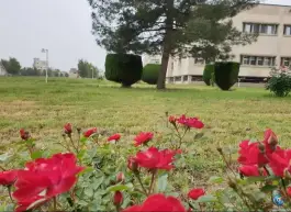 عکس بیمارستان خاتم الانبیاء تامین اجتماعی، کوی اندیشه، گنبدکاووس 3