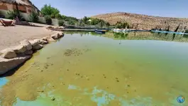 عکس مجموعه گردشگری و هتل داووس، آرش، شیراز 8