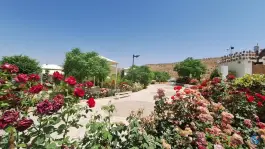 عکس مجموعه گردشگری و هتل داووس، آرش، شیراز 9
