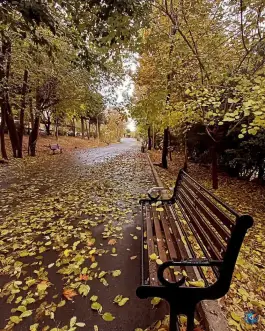 عکس دانشگاه فرهنگیان پردیس شهید چمران، حکیمیه، تهران 4