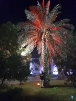 عکس هتل ارگ جدید بم، بروات، کرمان 5