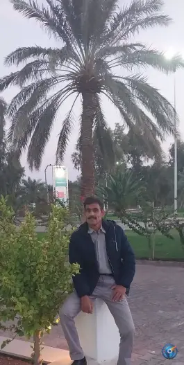 عکس هتل ارگ جدید بم، بروات، کرمان 9