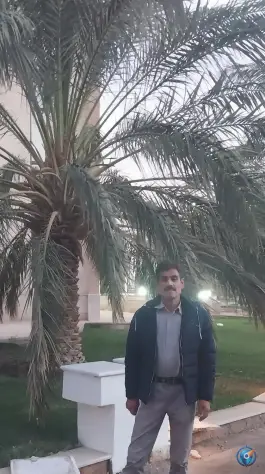 عکس هتل ارگ جدید بم، بروات، کرمان 10