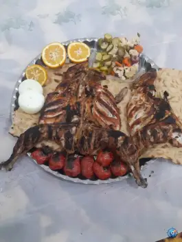 عکس های جوجه کباب کندو دورود