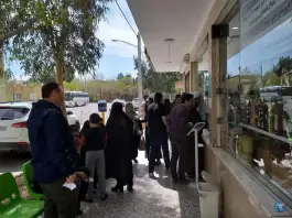 عکس سبزیجات فلفلی ناب؛ انصاری ۸، قم 8