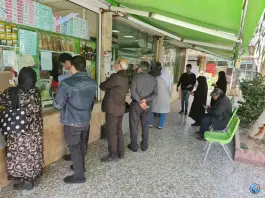 عکس سبزیجات فلفلی ناب؛ انصاری ۸، قم 10