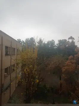عکس دانشکده فنی دخترانه ولیعصر، کیانشهر شمالی، تهران 8