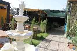 عکس کافی شاپ شبدیز، المهدی ۷، تربت جام 2