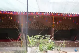 عکس کافی شاپ شبدیز، المهدی ۷، تربت جام 7