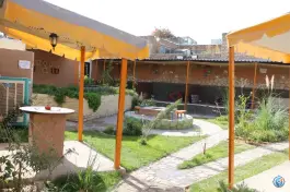 عکس کافی شاپ شبدیز، المهدی ۷، تربت جام 8