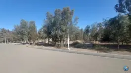 عکس بوستان جنگلی خلیج فارس، قم 3