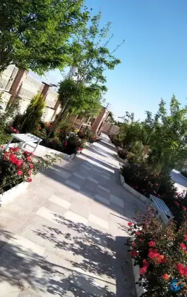 عکس موسسه آموزش عالی هاتف، بزرگمهر، زاهدان 2