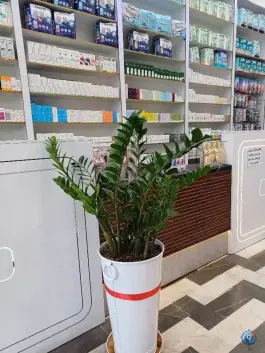 عکس داروخانه شبانه روزی دکتر هانیه محمدی، محله شهید اسدی، تهران 9