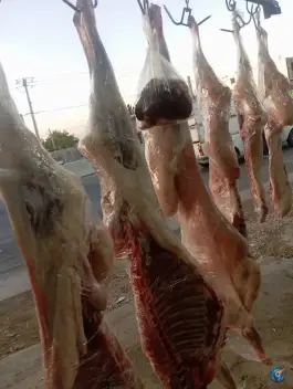 عکس رستوران کبابی امپراطور، جاده یاسوج - مصیری 5