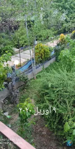 عکس های سفره خانه سنتی ترنج، محله دکتر حسابی - حسین آباد، شیراز
