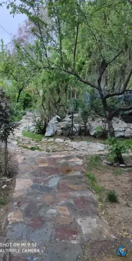 عکس سفره خانه سنتی ترنج، محله دکتر حسابی - حسین آباد، شیراز 2