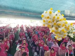 عکس دبستان معارف ۳، محله زرهی، شیراز 7