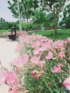 عکس بوستان شهدای گمنام قنوات، قم 2