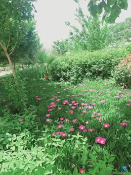 عکس بوستان شهدای گمنام قنوات، قم 3