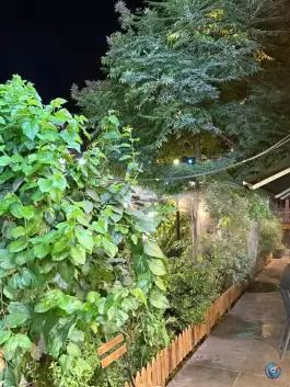 عکس جگرکباب گریل باربیکیو، محله دریا، تهران 3