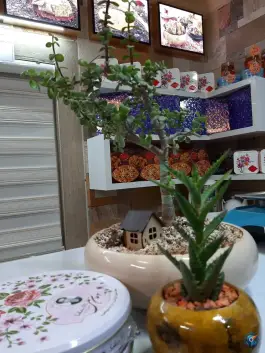 عکس های سوهان علی، بلوار اشراق، قم