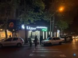 درمانگاه شبانه روزی سریتا؛ بلوار گلایل، گلسار رشت