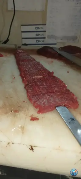 عکس رستوران اکبر مشتی، اردستانی اصفهان 10