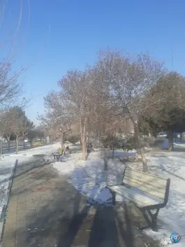 پارک فدک، آبیک