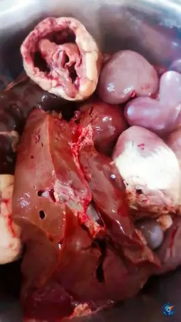 عکس جگر سرای چرب و چیلی، بلوار فردوسی شمالی، نیشابور 4