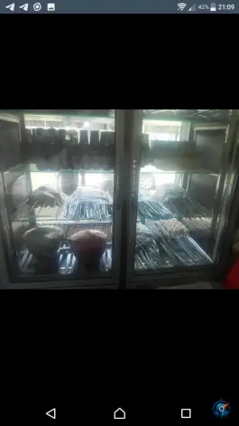 عکس جگرکی ستاره، بلوار ملاصدرا، کرج 2