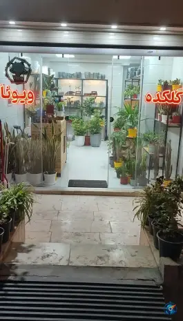 گلکده ویونا، شهیدان محرابیان (محله بنیاد)، قم
