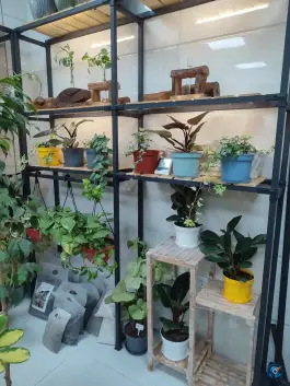 عکس گلکده ویونا، شهیدان محرابیان (محله بنیاد)، قم 2