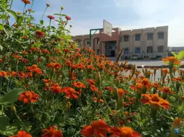 عکس مدرسه شهید مطهری، آبدان، بوشهر 4