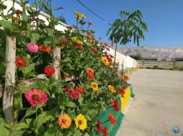 عکس مدرسه شهید مطهری، آبدان، بوشهر 8
