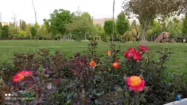 عکس مجتمع آموزشی فرهنگی امام رضا (ع) شیراز - محله مهدی آباد 6