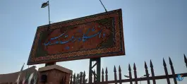 عکس دانشگاه تربیت مدرس، محله فاطمی، تهران 3