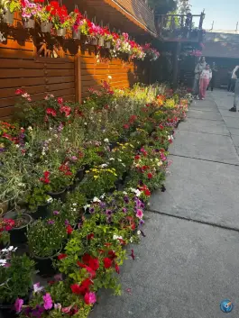 عکس مجموعه رستورانی خوشا، بلوار دکتر حسابی، شیراز 6