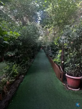 عکس مجموعه رستورانی خوشا، بلوار دکتر حسابی، شیراز 8