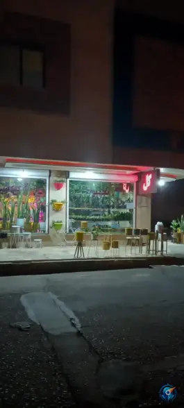 گل فروشی دکتر کاکتوس، محله پانزده خرداد قم