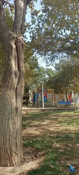 عکس بوستان حافظ قم؛ محله نیروگاه 2
