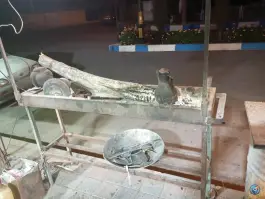 عکس جگرکی دلژین تهران 5