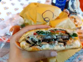 عکس رضا برگر، محله دباغ خانه شیراز 3