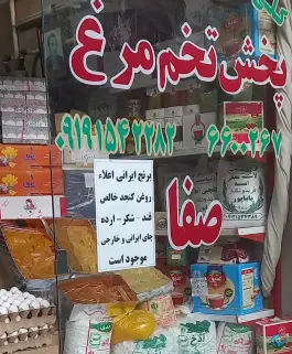 پخش تخم مرغ صفا، محله خاکفرج، قم