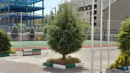 عکس هنرستان فنی نمونه دولتی دارالفنون، محله هنرستان، مشهد 9